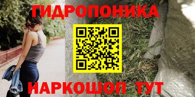 сатива Аргун